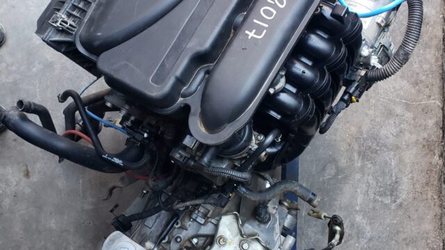 487532624_1202928408500633_3816472282689166059_n