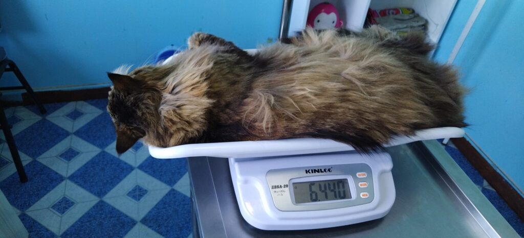 487768979_9389517517804823_6092413531348827527_n