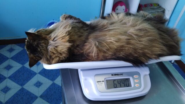 487768979_9389517517804823_6092413531348827527_n