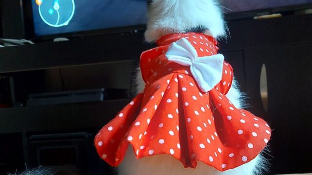 487824127_1195700375892807_8245455251526257935_n