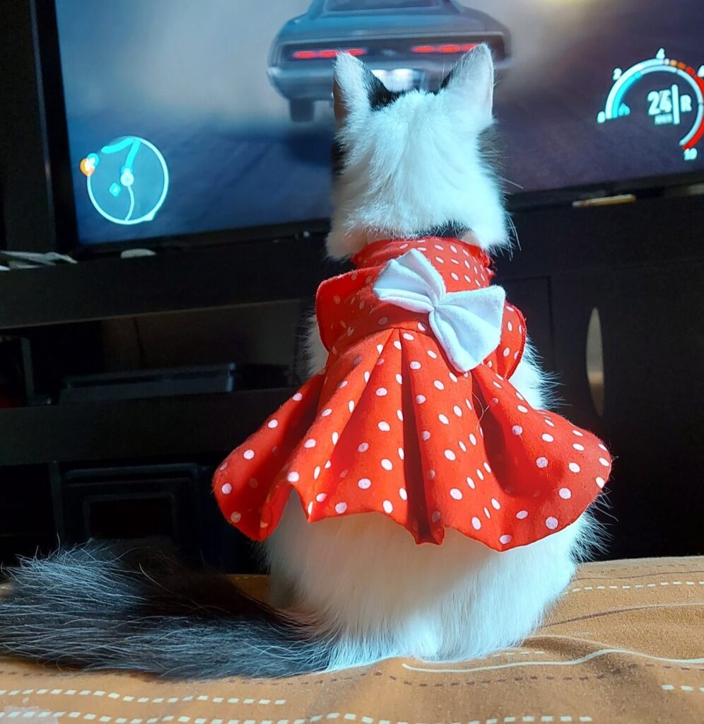 487824127_1195700375892807_8245455251526257935_n