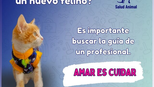 487993743_1212551190872078_3898409804814161638_n