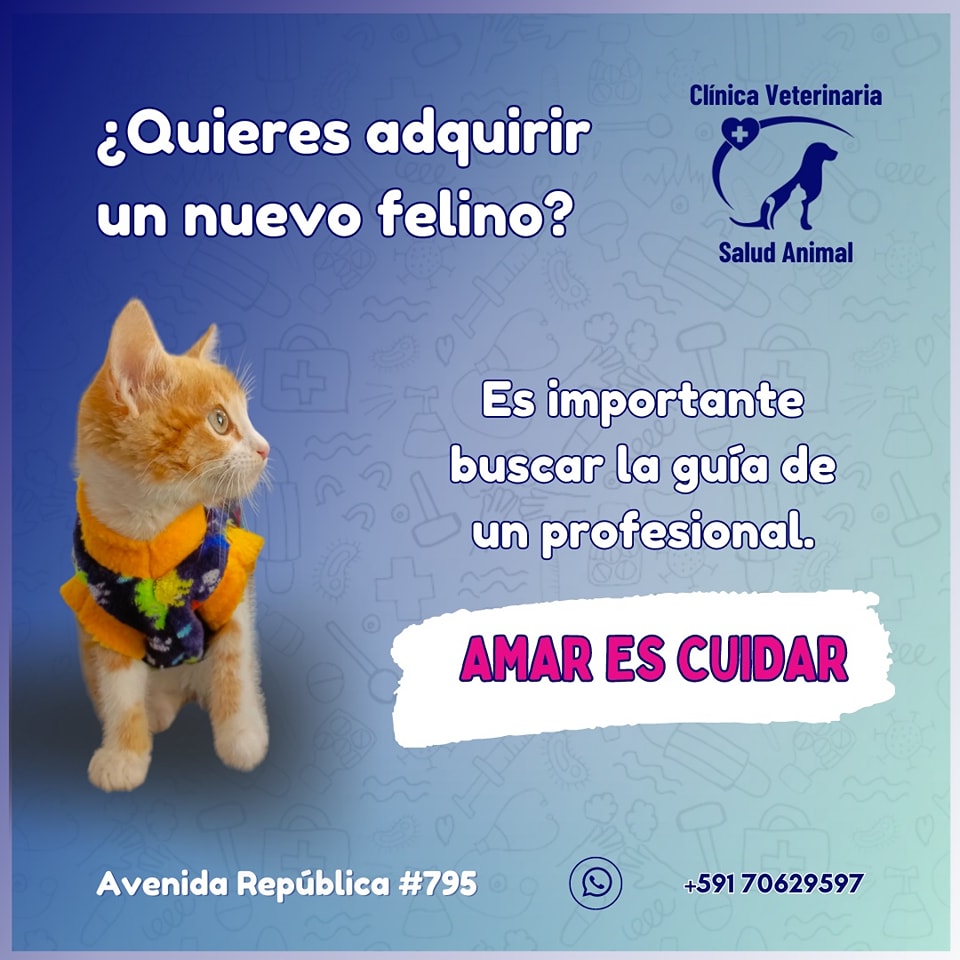 487993743_1212551190872078_3898409804814161638_n