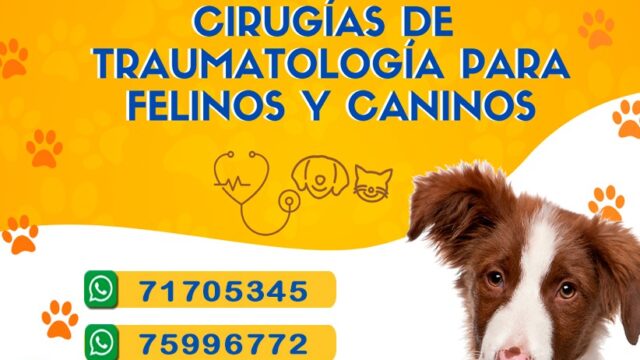 488208450_1247461760713360_3116938668690767650_n