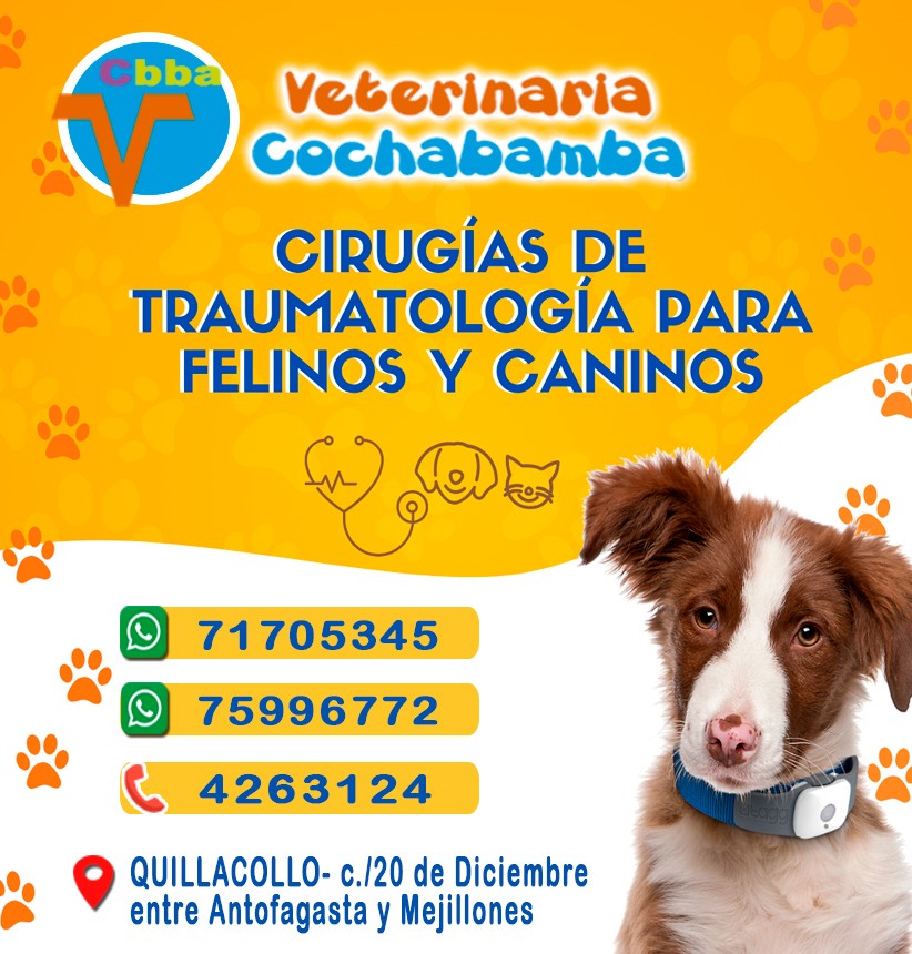 488208450_1247461760713360_3116938668690767650_n