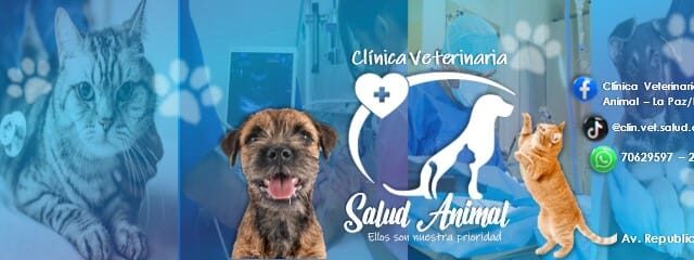 488223292_1217174660409731_6916696607234412791_n