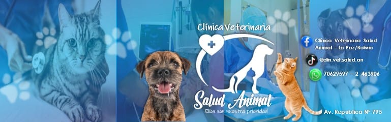 488223292_1217174660409731_6916696607234412791_n