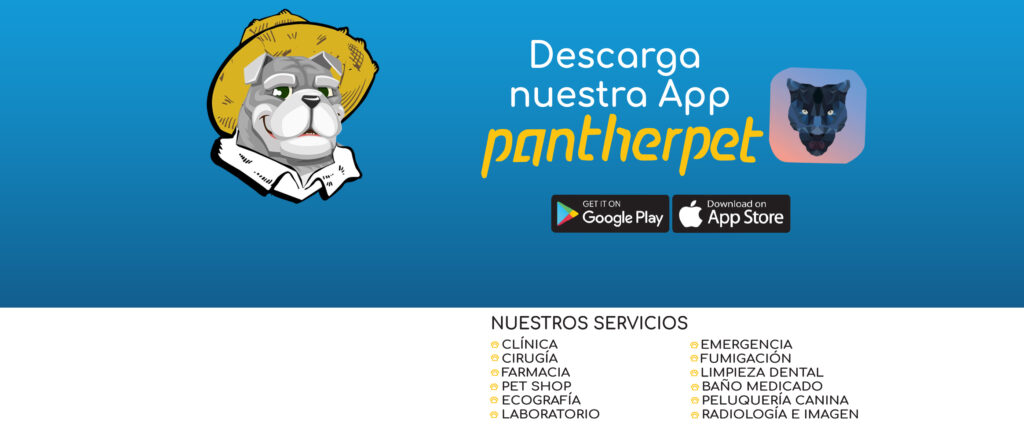 488252157_1203500588448049_2214472512060649301_n