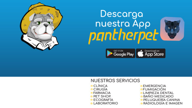 488252157_1203500588448049_2214472512060649301_n