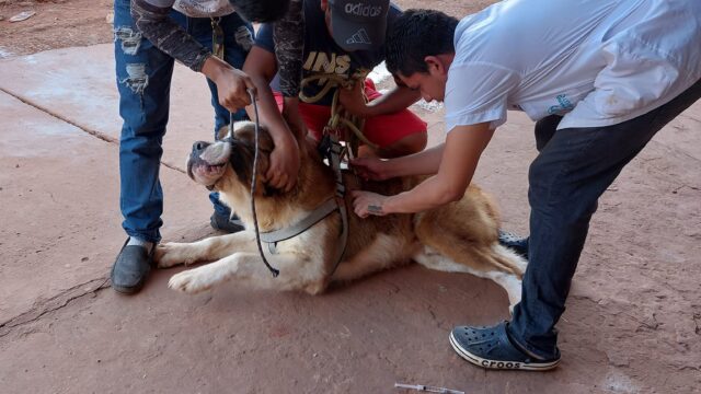 488258389_1198831982246313_3000283660202511045_n