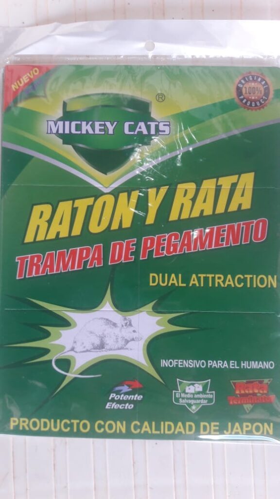 488263645_1208425917752373_6097166839607497759_n