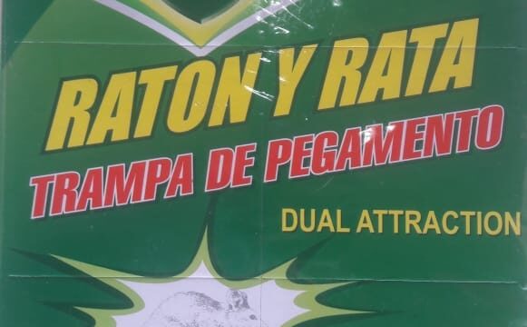 488263645_1208425917752373_6097166839607497759_n