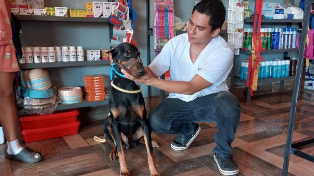 488507917_1198831788912999_795885296086102839_n