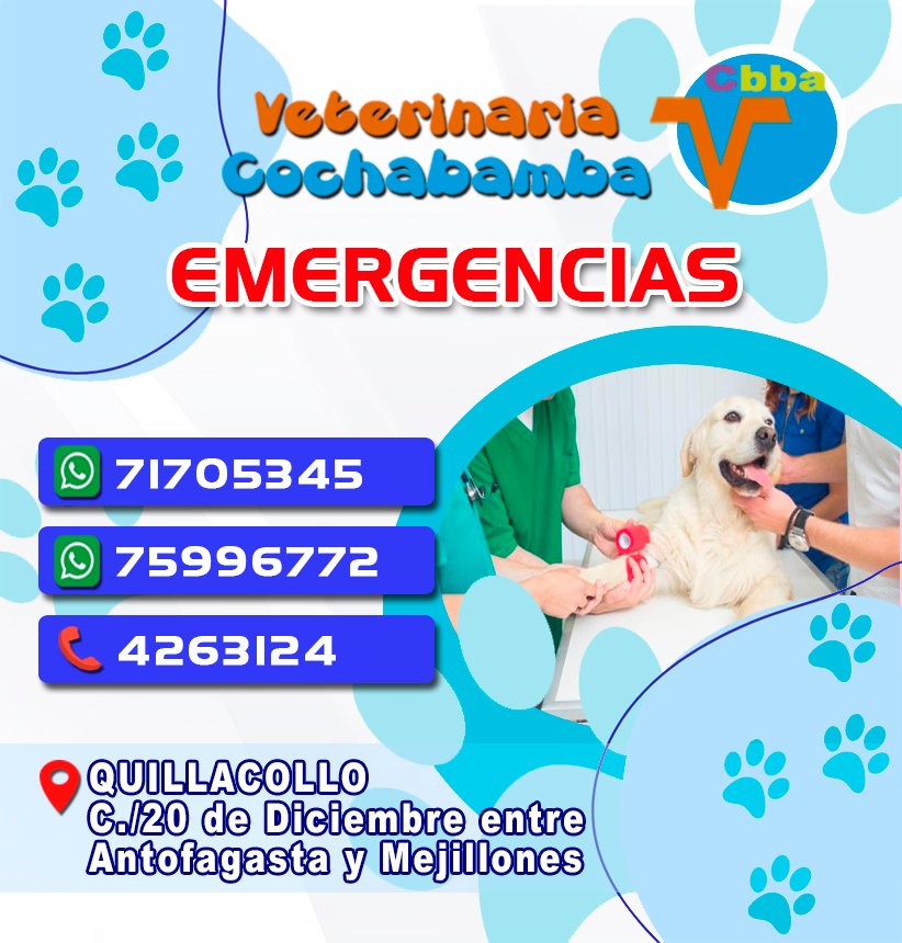 488691668_1246883834104486_4894468040797578645_n