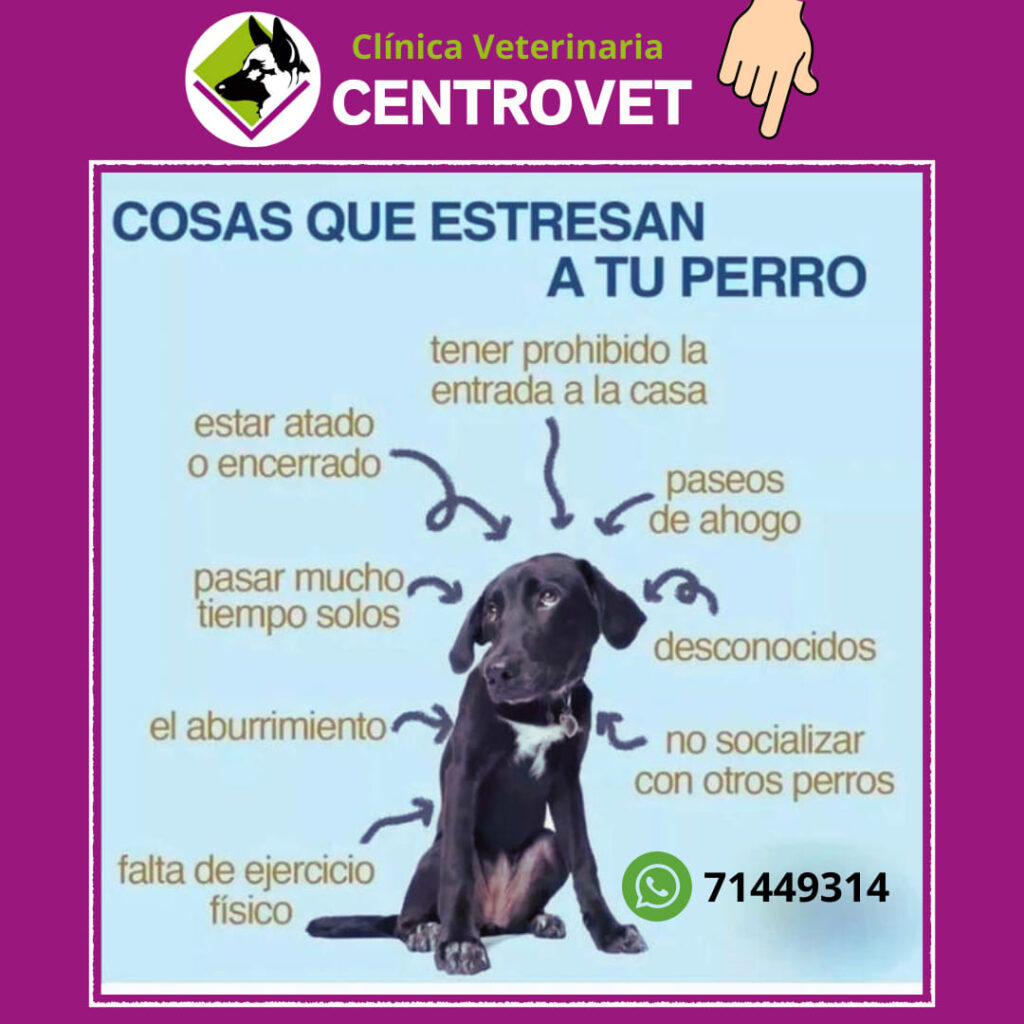 488870822_1190854289712177_2790378172557785648_n