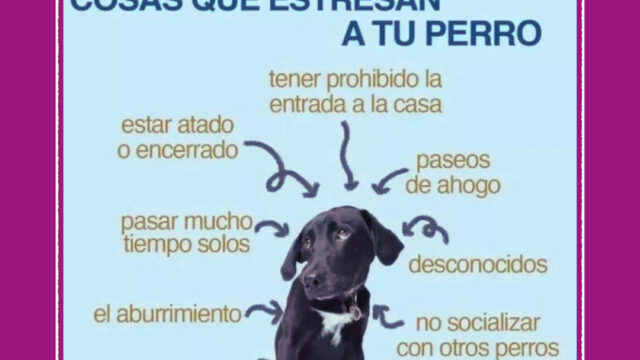 488870822_1190854289712177_2790378172557785648_n