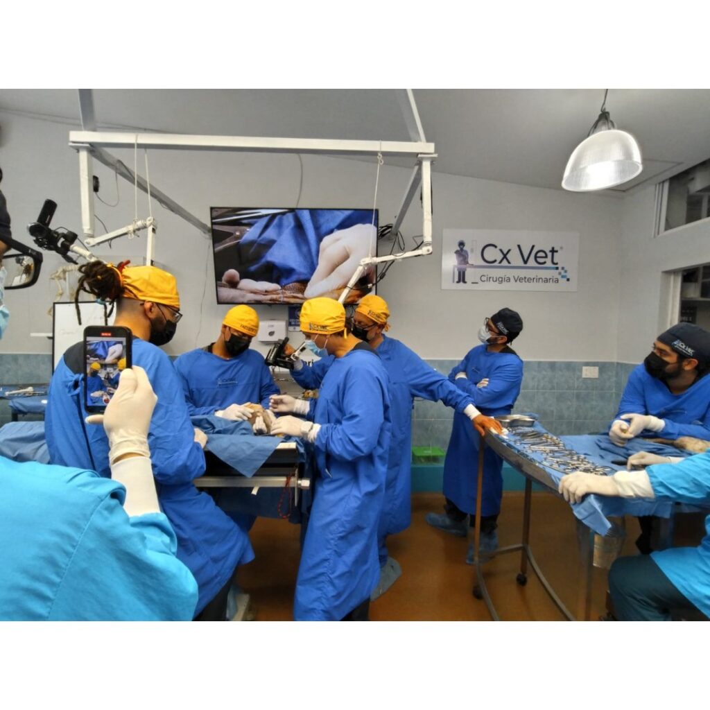 488882311_1295305322317289_2305592879249962927_n