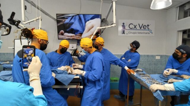 488882311_1295305322317289_2305592879249962927_n