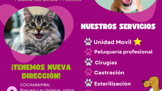 488883872_1190864323044507_5670475951063393815_n