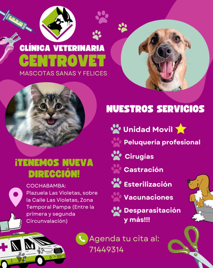 488883872_1190864323044507_5670475951063393815_n