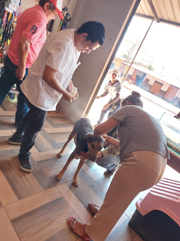 489013395_1198831888912989_7268512791861414153_n