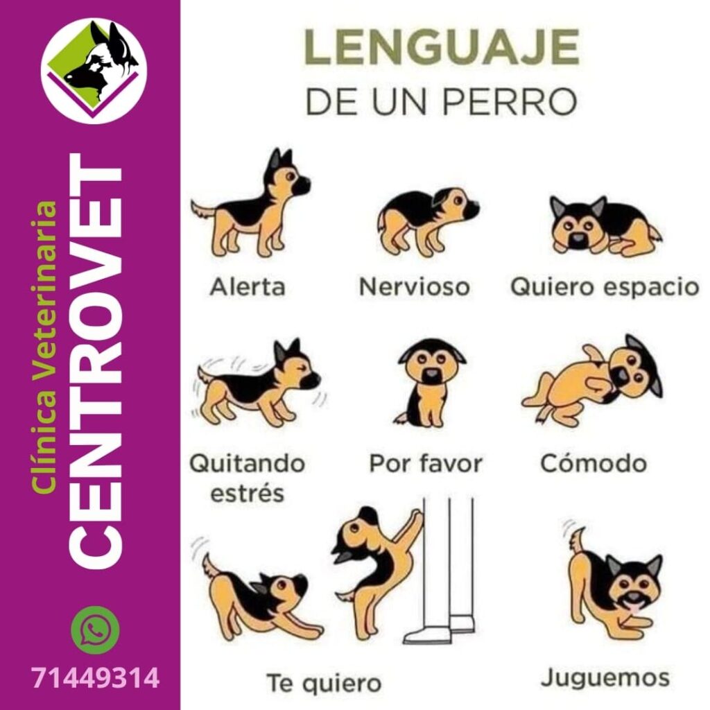 489030279_1191104366353836_5710539739224252471_n