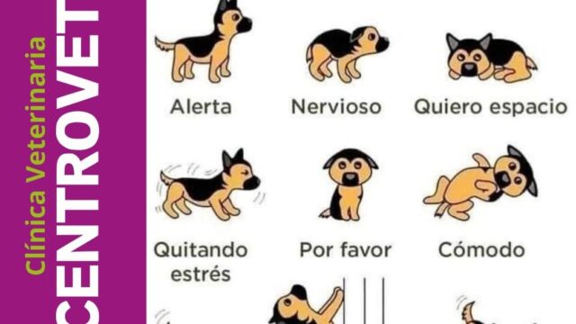 489030279_1191104366353836_5710539739224252471_n