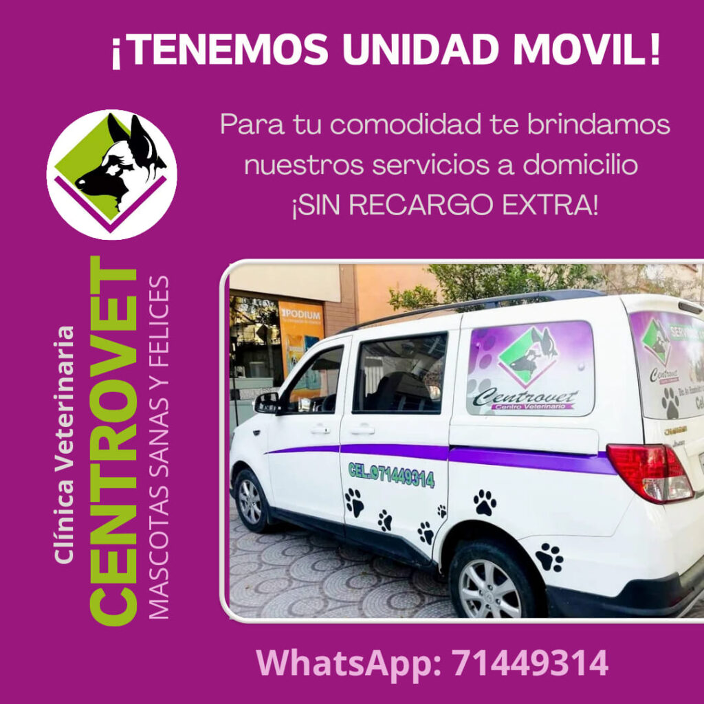 489401709_1190458953085044_7066252763178839446_n