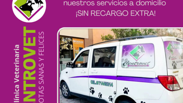 489401709_1190458953085044_7066252763178839446_n