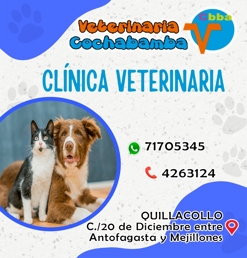 489954782_9779525968766161_343290633983832406_n