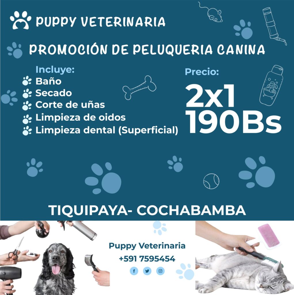 490023710_122113918088806838_4883143597207269838_n