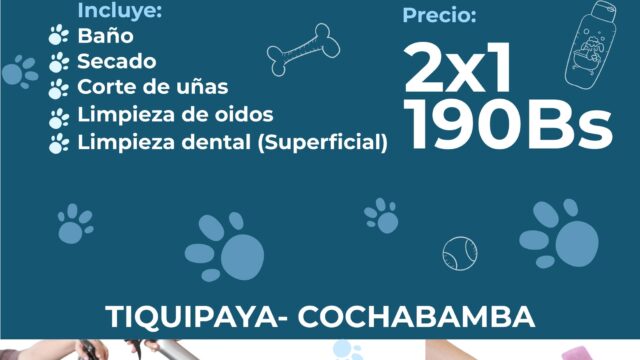 490023710_122113918088806838_4883143597207269838_n