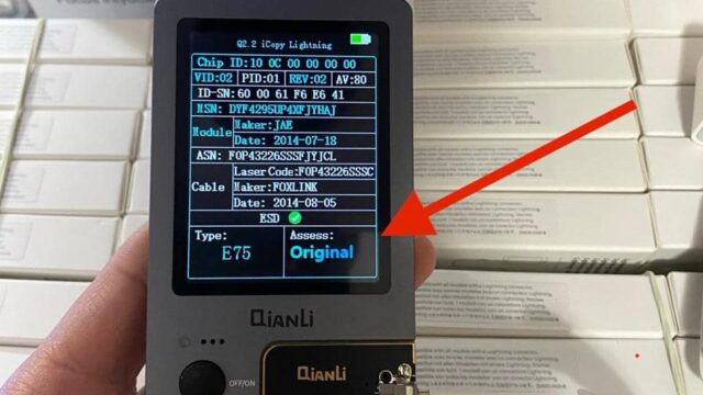 490118471_1243173597809125_8704711675364016851_n