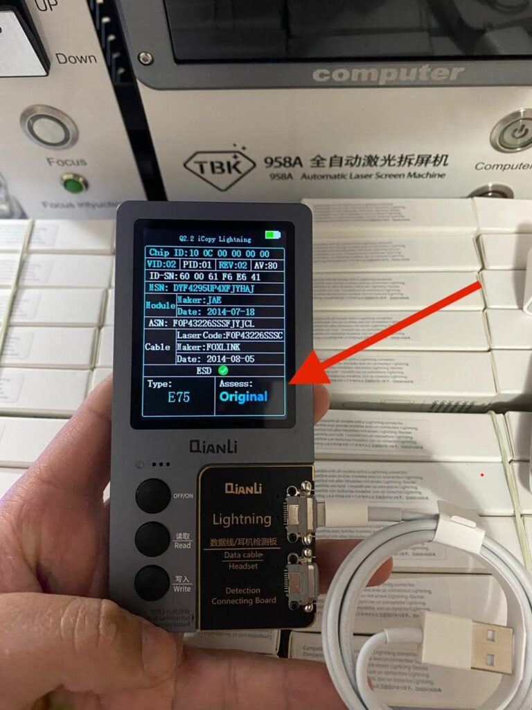 490118471_1243173597809125_8704711675364016851_n