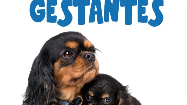 490274041_1192360502478171_1307036229079063138_n