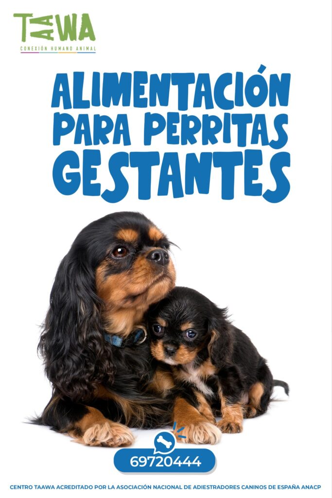 490274041_1192360502478171_1307036229079063138_n