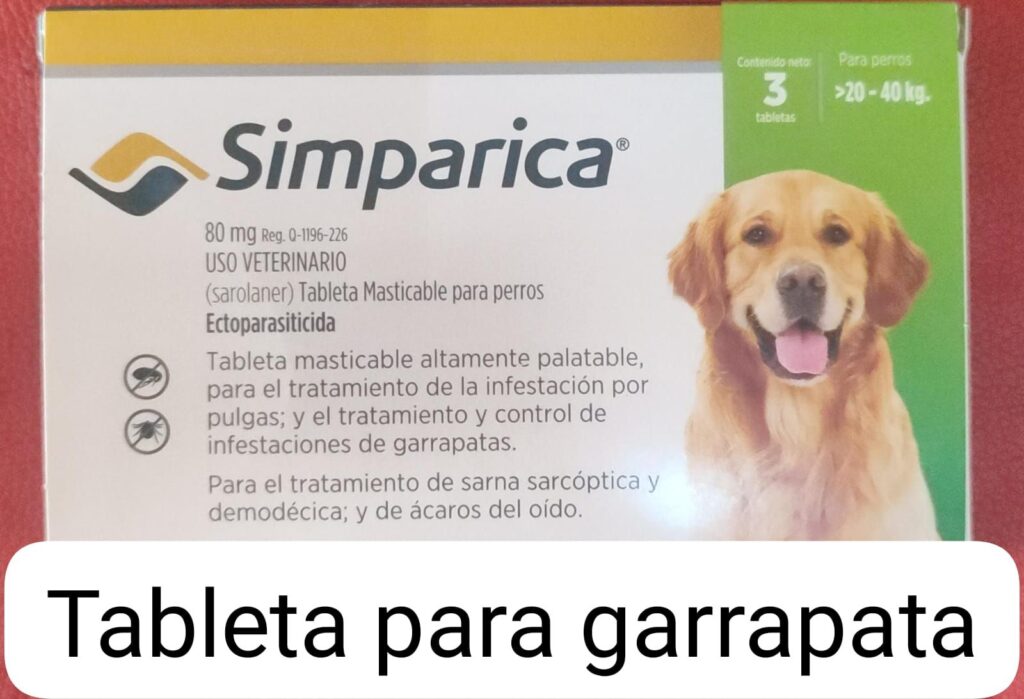 490321484_1215424003719231_4266629558652509741_n