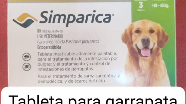 490321484_1215424003719231_4266629558652509741_n