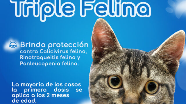 490704558_1215431797254928_2234227281935967140_n