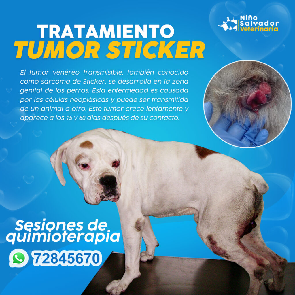 490714536_1215428297255278_9113417357479977580_n