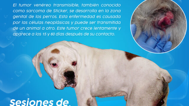 490714536_1215428297255278_9113417357479977580_n