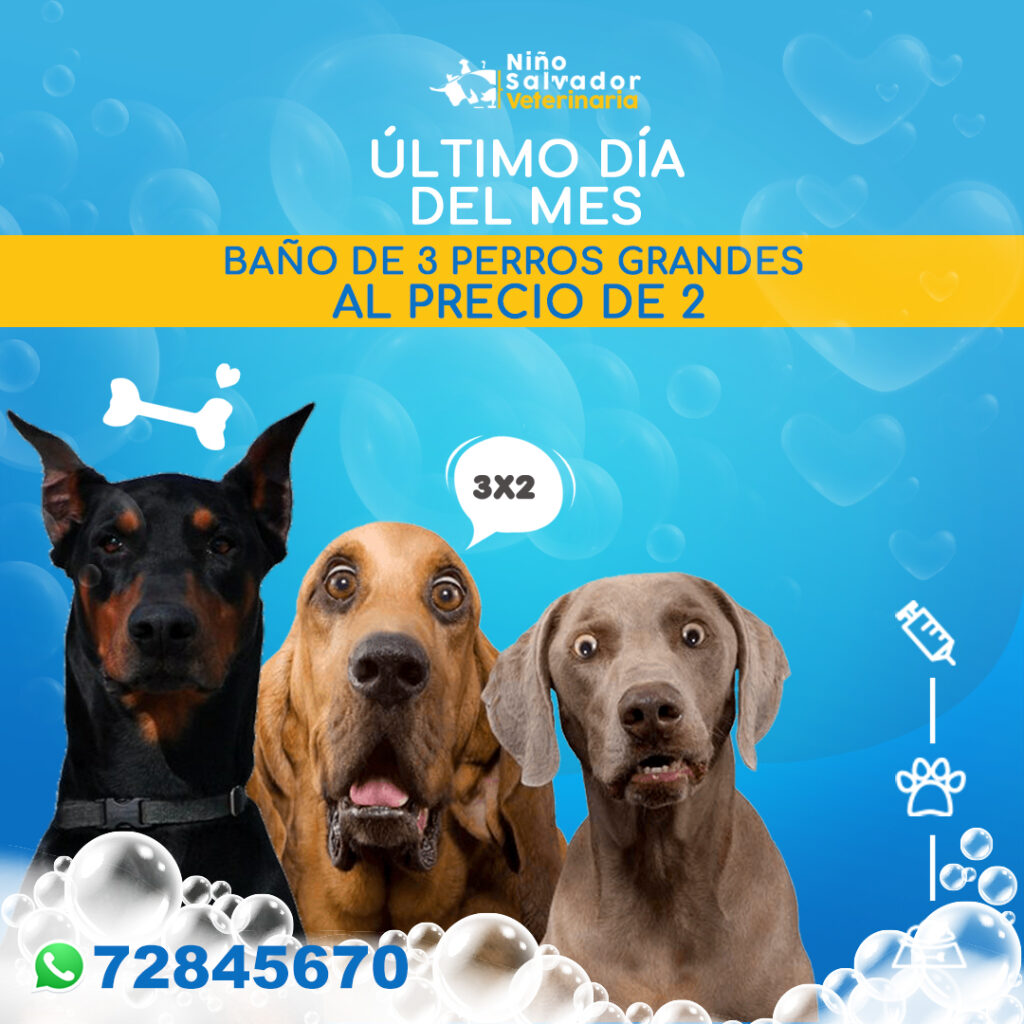 490832994_1215787277219380_7042481164563324563_n