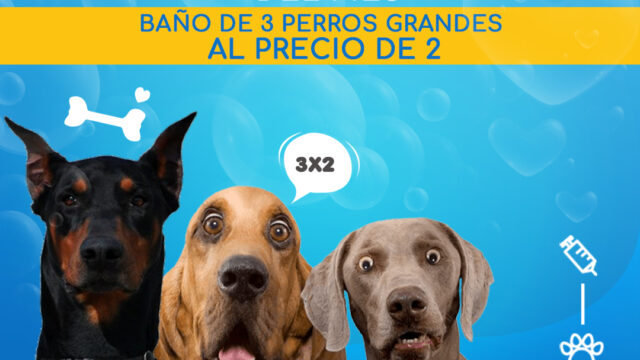 490832994_1215787277219380_7042481164563324563_n