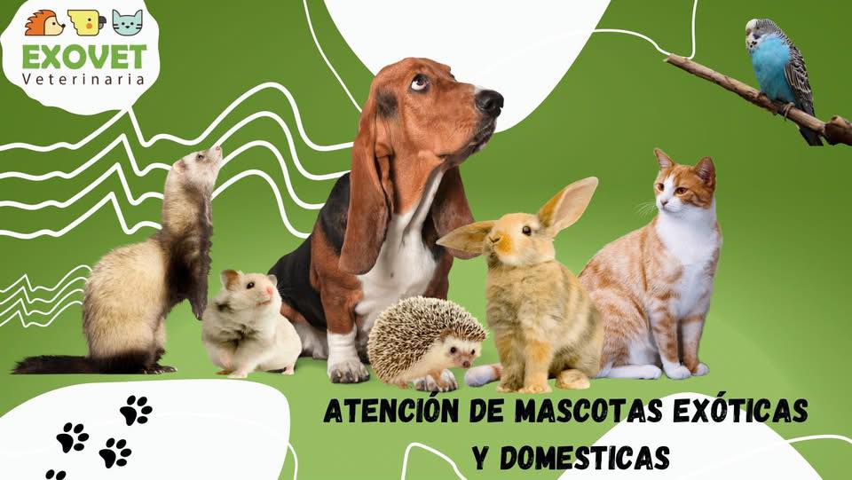 491414929_1217166147085560_685405423265205927_n