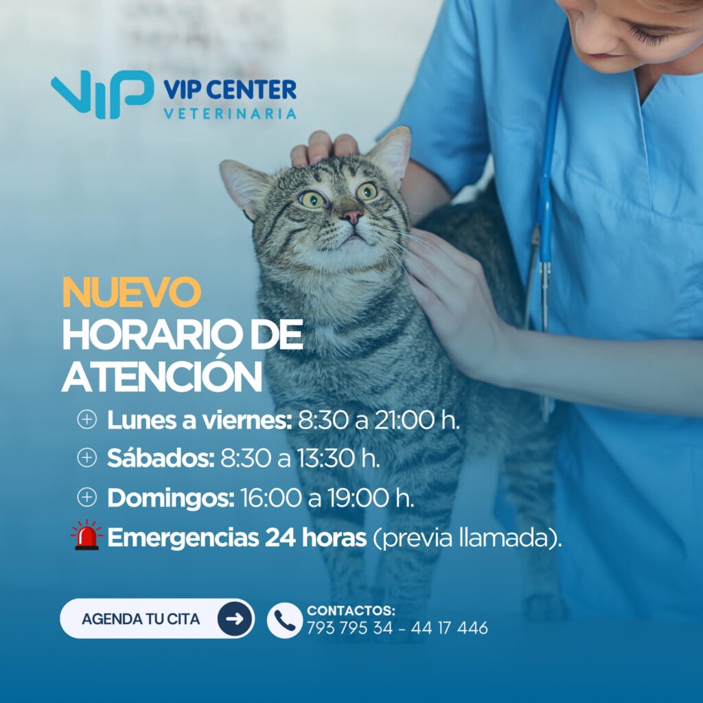 491662961_1306229717891516_5518268322018638325_n