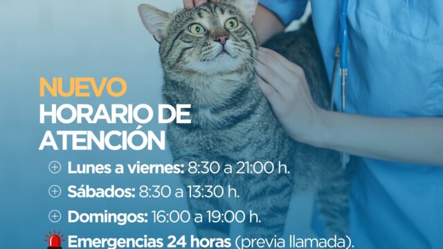 491662961_1306229717891516_5518268322018638325_n