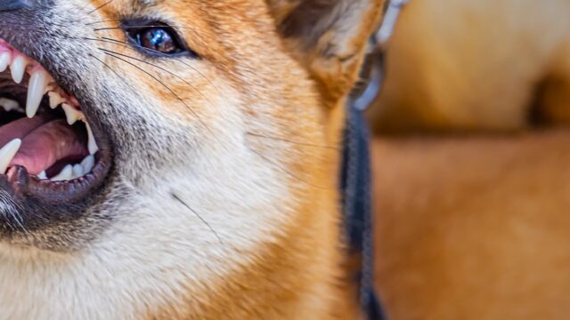 491832690_1194948718886016_5077272648271827541_n