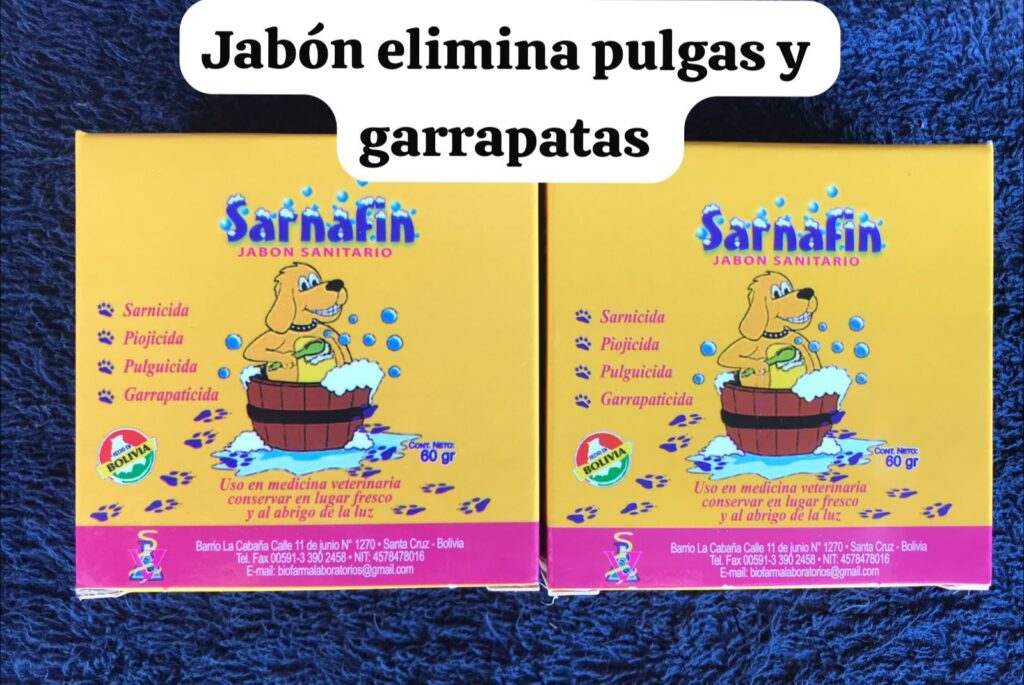 491950347_1219280930000205_8572119993680793400_n