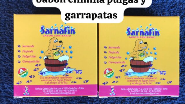 491950347_1219280930000205_8572119993680793400_n