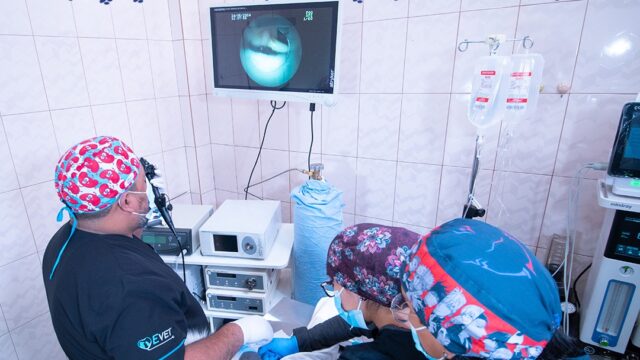 492002823_1260608029405346_2798715649713756390_n